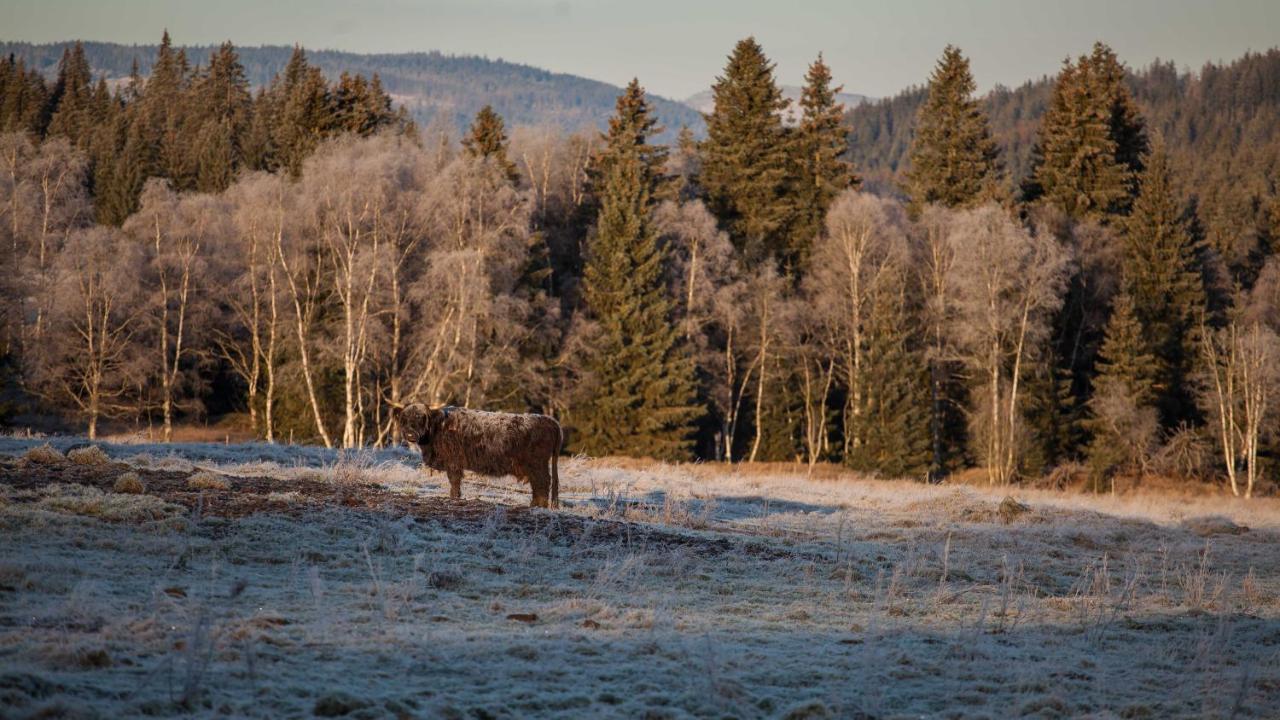 Penzion Horska Kvilda Bagian luar foto