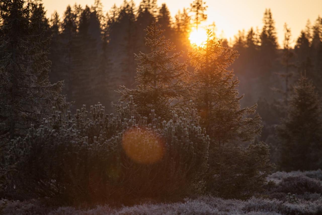 Penzion Horska Kvilda Bagian luar foto