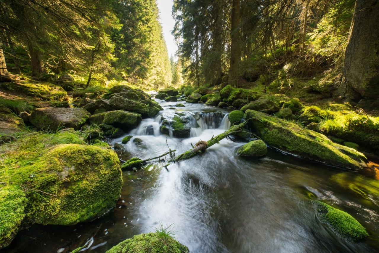 Penzion Horska Kvilda Bagian luar foto