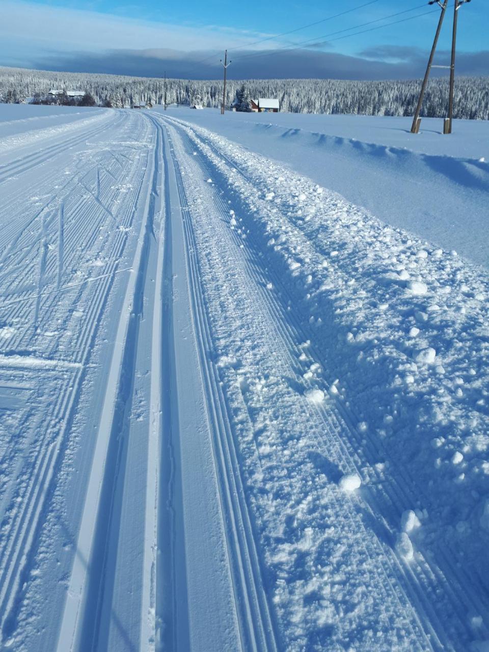 Penzion Horska Kvilda Bagian luar foto