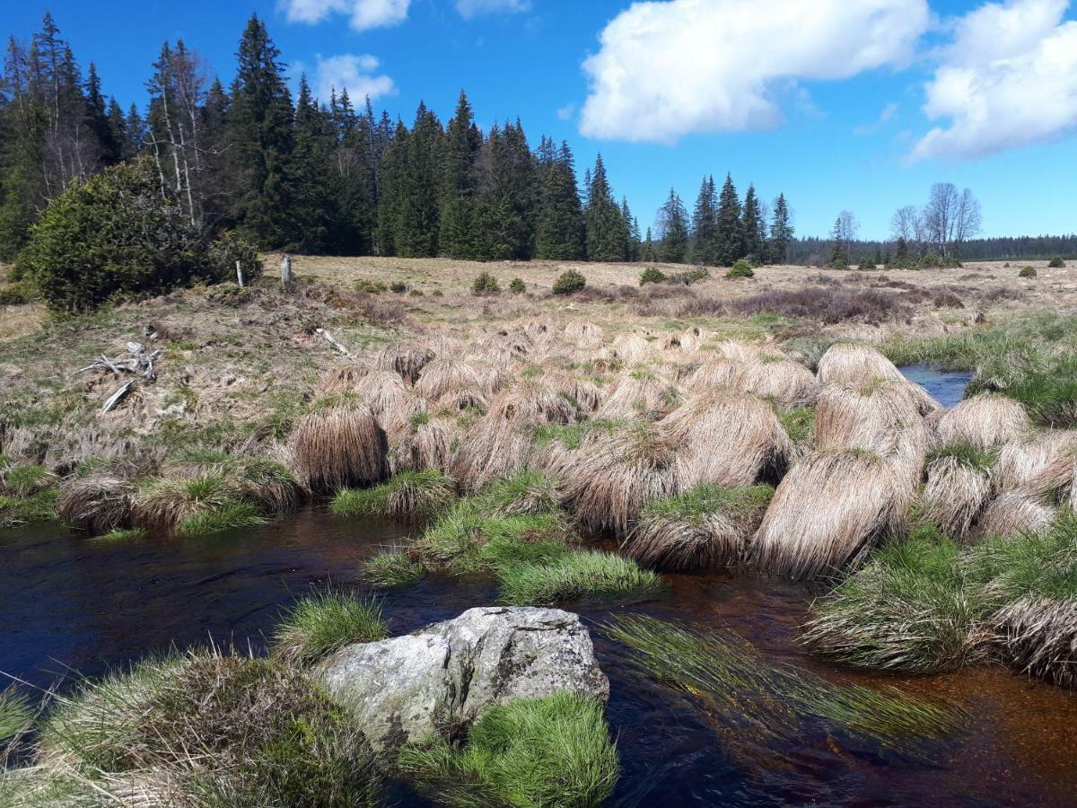 Penzion Horska Kvilda Bagian luar foto